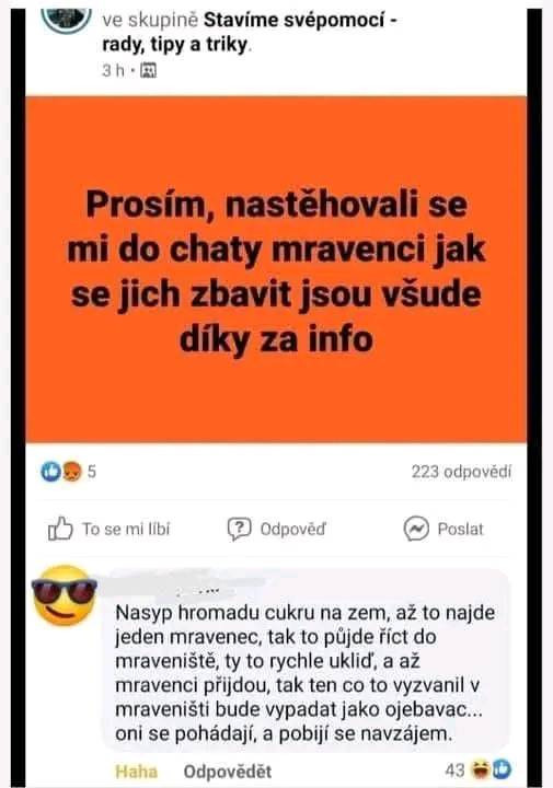 Ako na mravce